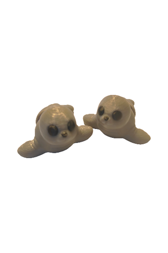 Baby Seal